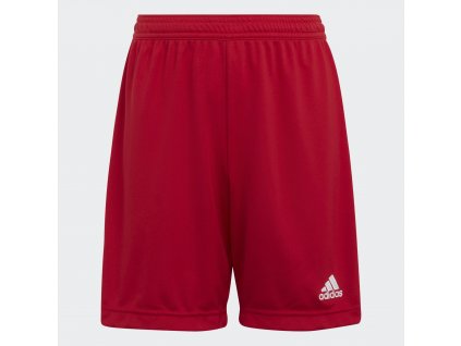 Dětské trenky Adidas Entrada 22