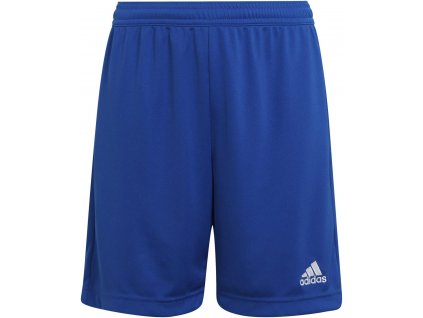 Dětské trenky Adidas Entrada 22