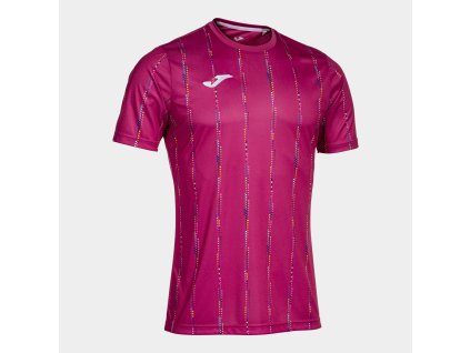 Dres Joma Pro Team