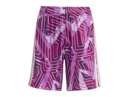 KC5470 1 APPAREL Photography Front Center View transparent