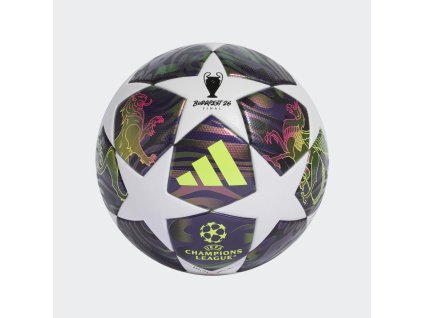 image 2026 02 11 234338870