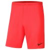 Trenky Nike Park III Short - dětské
