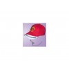 4120 cap red manch untd 2[1]