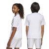 JJ4169 9 APPAREL On Model Standard Unisex Back View transparent