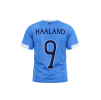 Haaland reworked nobg