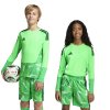 KB5240 9 APPAREL On Model Standard Unisex Pair Shot transparent