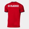 SK Vojkovice dres back