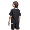 KA6264 4 APPAREL On Model Back View transparent
