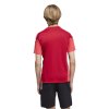 KA7601 4 APPAREL On Model Back View transparent