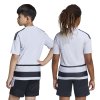 KF3412 8 APPAREL On Model Standard Unisex Back View transparent