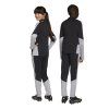 KA5134 7 APPAREL On Model Standard Unisex Back View transparent