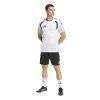 KA7643 5 APPAREL On Model Standard Outfit View transparent