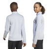 JZ6637 7 APPAREL On Model Standard Unisex Back View transparent