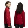 JZ6612 7 APPAREL On Model Standard Unisex Back View transparent