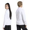 JZ6605 7 APPAREL On Model Standard Unisex Back View transparent