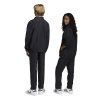 JZ9129 7 APPAREL On Model Standard Unisex Back View transparent