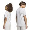 JZ6672 7 APPAREL On Model Standard Unisex Back View transparent