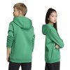 JZ6563 7 APPAREL On Model Standard Unisex Back View transparent