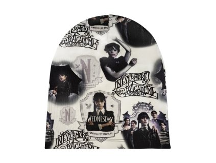 шапка wednesday 4