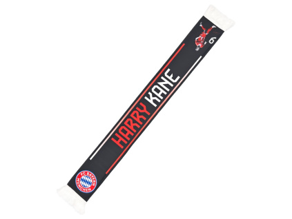 2337195d1319862f2820c18512c1a04e