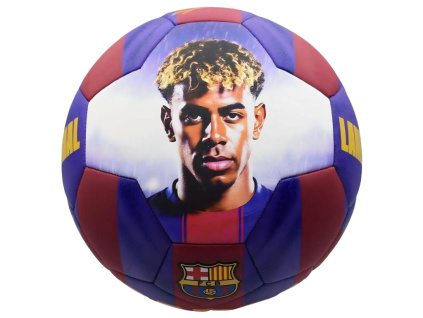 b25b4952c8e47a62187580d04d96e780