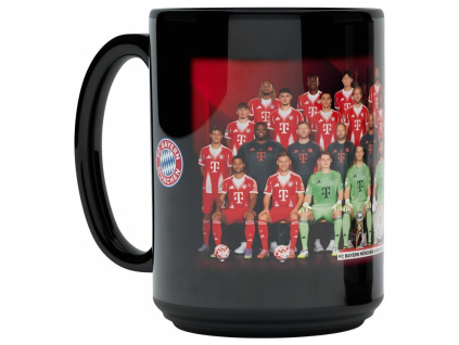 73d14f1617d52feef380226ec2c39951