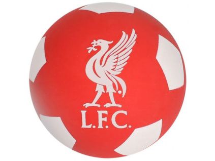 6fc89fb782e14523a263d3eb67effb7f