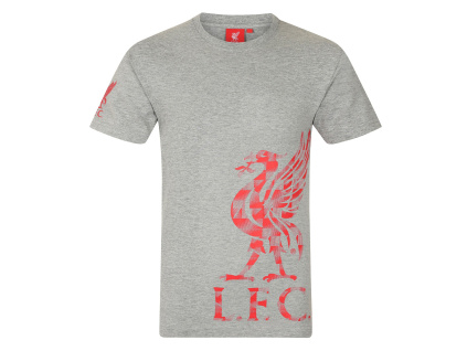 Dětské tričko Liverpool FC, šedé, bavlněné