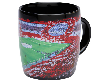 Hrnek FC Bayern Mnichov, arena, 300 ml