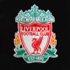 Bunda Liverpool FC, černá, stojáček, zip