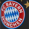 Hrnek FC Bayern Mnichov, černý, 300 ml