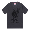 Pánské pyžamo Liverpool FC, šedé, krátký rukáv