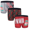 Chlapecké boxerky Liverpool FC, sada 3 ks