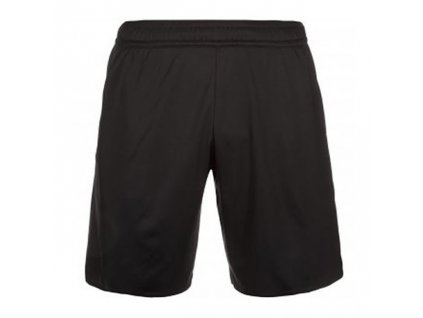 Adidas Referee 16 Shorts