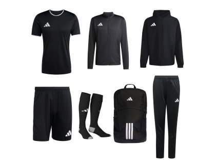 Dospělý velký černý web