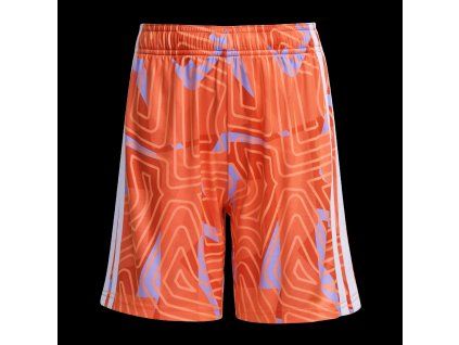 KC5466 9 APPAREL ZIP Turntable 3d 1 transparent