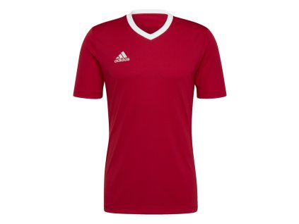 Dres adidas Entrada 22 (Velikost 2XL)