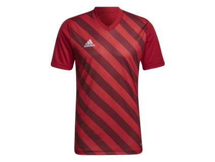 Dres adidas Entrada 22 GFX (Velikost 2XL)