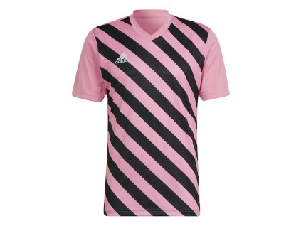 Dres adidas Entrada 22 GFX (Velikost 2XL)