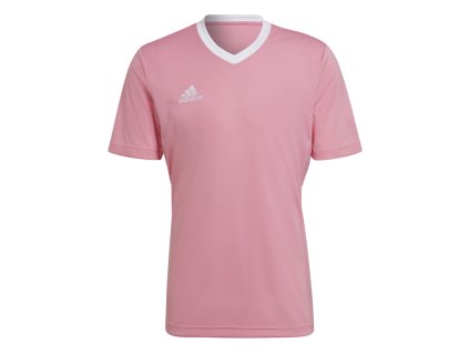 Dres adidas Entrada 22 (Velikost 2XL)