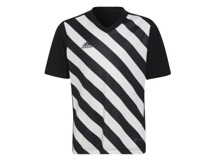 Dětský dres adidas Entrada 22 GFX (Velikost 116)