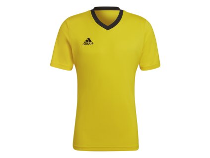Dres adidas Entrada 22 (Velikost 2XL)