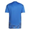 Dres adidas Tiro 24 Competition Match (Velikost XS)