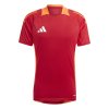 Dres adidas Tiro 24 Competition (Velikost XS)