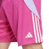 Trenky adidas Tiro 24 (Velikost XS)