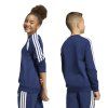 KF5821 7 APPAREL On Model Standard Unisex Back View white