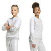 KF5823 8 APPAREL On Model Standard Unisex Pair Shot white