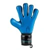 GUANTES DE PORTERO 0520134 PREMIER PHENOMENON ESSENTIAL palm