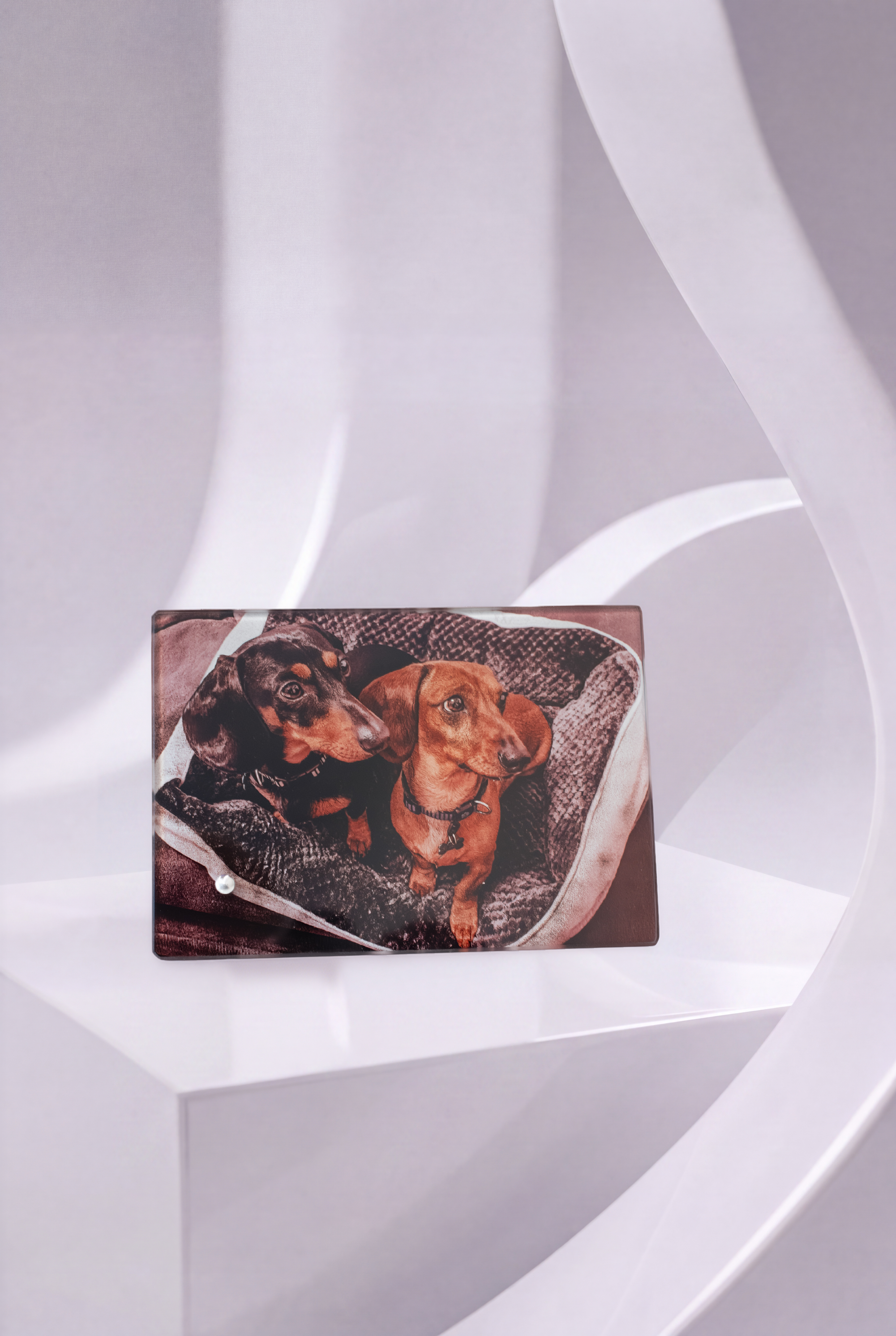 fotka_promo_1