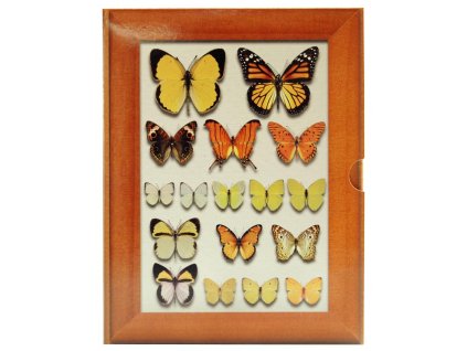 foto-album motýl
